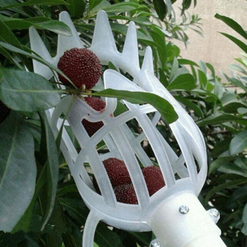 Fruit Picker Catcher Gardening Farm Garden Hardware Picking Device Tool - intl