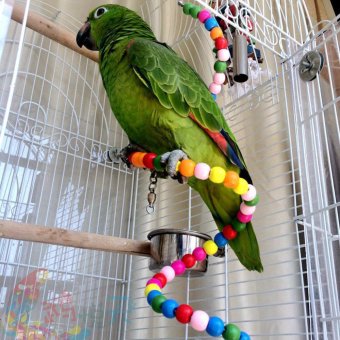 100CM Parrot Parakeet Toy Wooden Bird Ladder April 2018 - 4 100CM Parrot Parakeet Toy Wooden Bird Ladder - 4