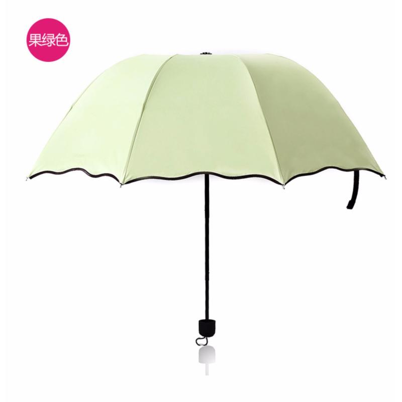 JIJI Blooming Flower Umbrella ( Manual )