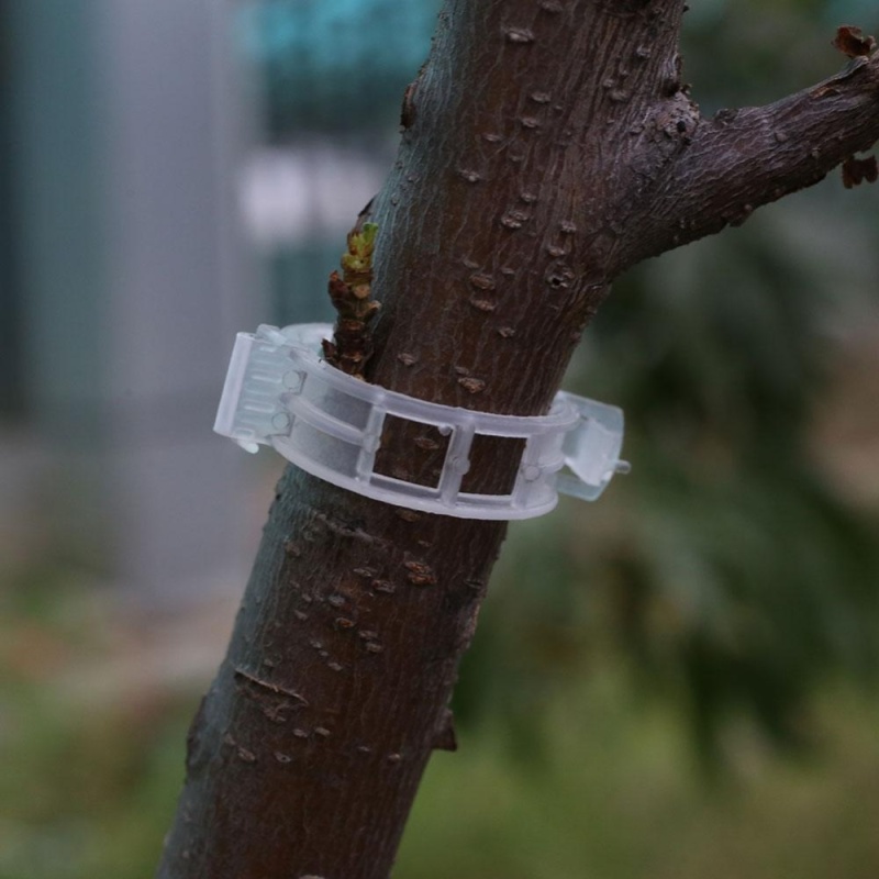 Plant Clips Plastic Tool Garden Climbing Plastic Outdoor Planting Clip - intl