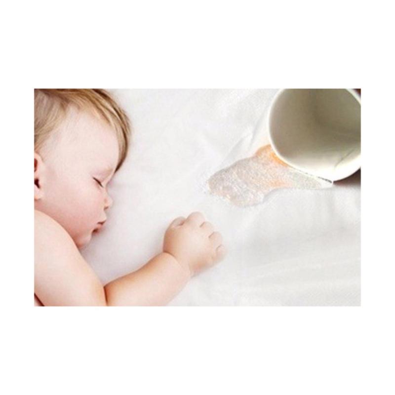 Queen-Sized Waterproof Terry Mattress Protector