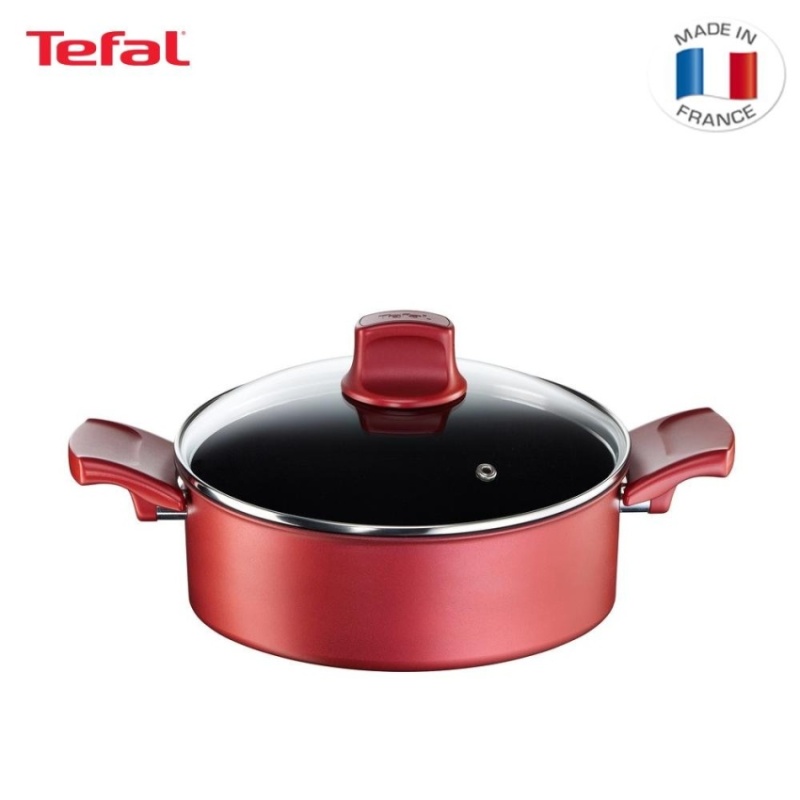 Tefal Character Shallow Pan 24cm - C68270 Singapore
