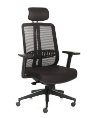 Trellis Mesh Office Chair High Back Singapore