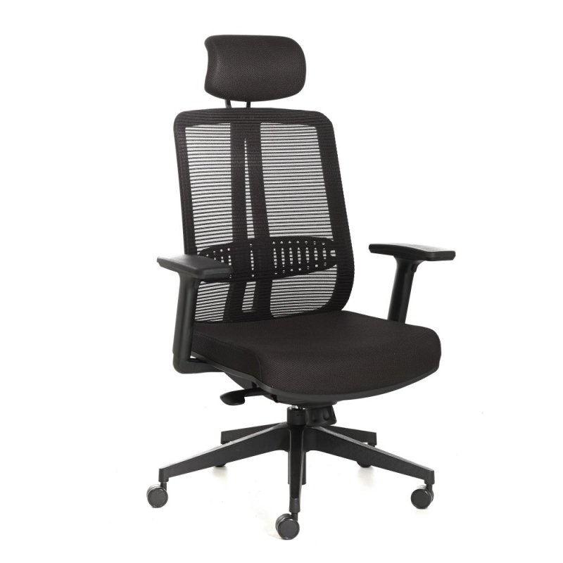 Trellis Mesh Office Chair High Back Singapore