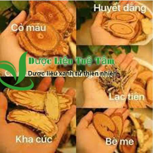 Cây kha cúc - Cỏ kha cúc 1kg