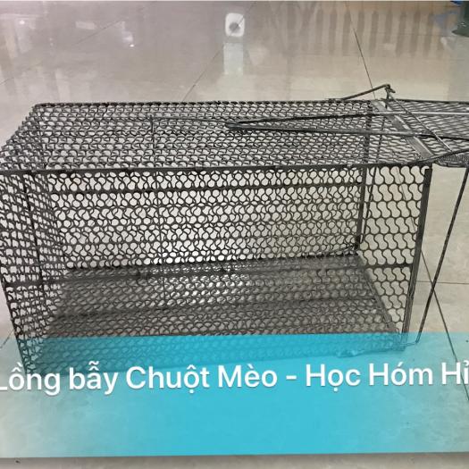 Lồng bẫy Chuột Cống, bẫy Mèo
