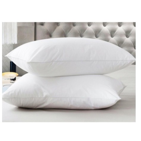 Combo 2 ruột gối bông hạt 40x60