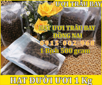 HẠT ĐƯỜI ƯƠI BAY 1 Kg - HẠT ƯƠI TRÂU BAY