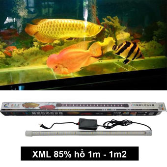 Đèn LED XML 85%  cho hồ bể cá rồng 1m - 1.2m, dài 1m, 2 hàng, ánh sáng vàng