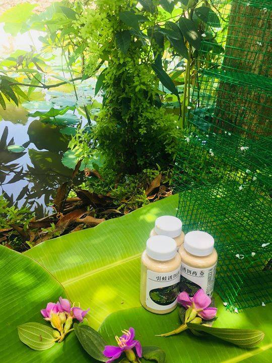 Mồi dụ ếch Siêu nhạy loại mới