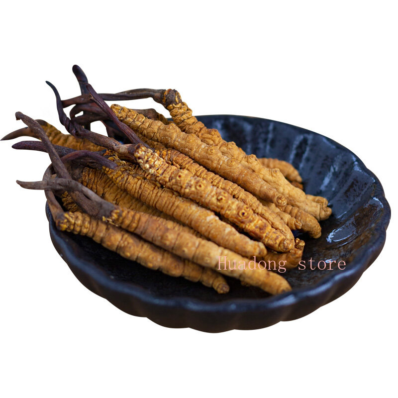 10 Đông trùng hạ thảo có khối lượng 5g (chất lượng tốt, giao hàng nhanh)