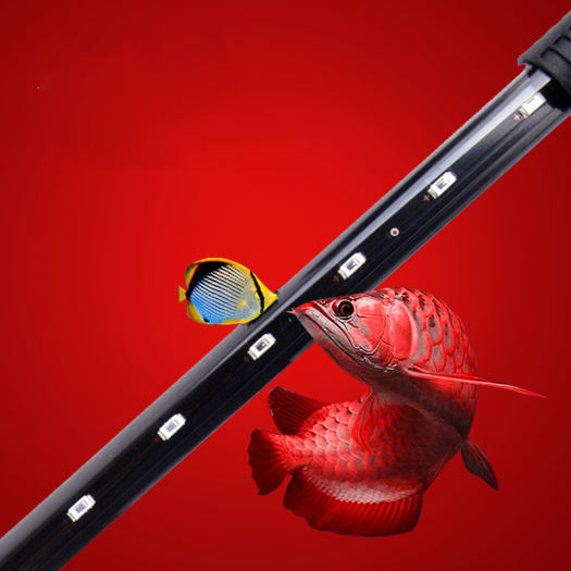 (Kích Thước: 16.5Cm/3.5W/Màu Xanh Dương) Đèn Bể Cá Đèn Bể Cá Chiếu Sáng Lội Nước Đèn LED Bể Cá Cây Thủy Sinh Đèn Led Lặn Bể Cá Đèn Chống Nước