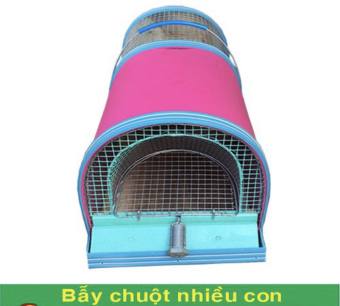 Bẫy Chuột Năm Phước An Giang ( Tặng Kèm Mồi Nhử  Chuột Đặc Biệt )