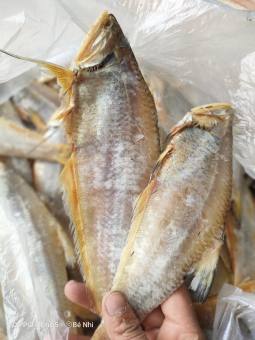 1 kg Khô Cá Lẹp Vàng Đặc Sản Vàng Cà Mau( quà tặng 1 con cá lẹp vàng khi mua bất kỳ đơn hàng nào)