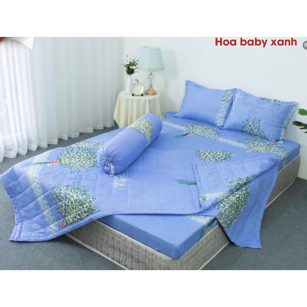 Chăn hè trần bông 3 lớp cotton poly hàng loại 1