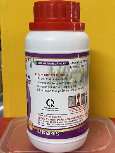 SIÊU TẠO NỤ MAI VÀNG