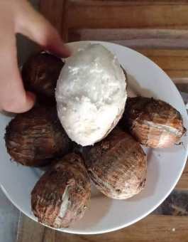 Khoai Môn Sọ Tươi - Thơm Ngon Bổ Dẻo - Hàng Loại 1 Chất Lượng