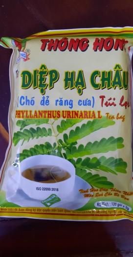 TRÀ DIỆP HẠ CHÂU TÚI LỌC THÔNG HỒNG