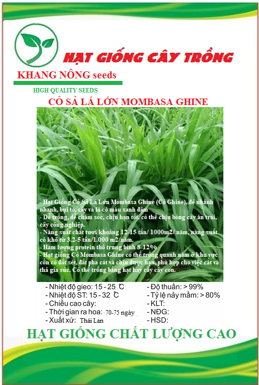 Hạt giống cỏ chăn nuôi Mombasa Ghine - Cỏ sả lá lớn - Gói 50gram
