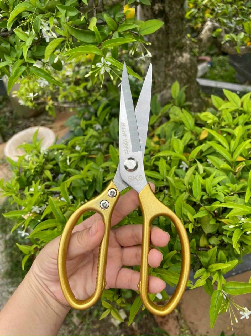 Kéo nhật đa năng sk5 siêu bén cắt gà