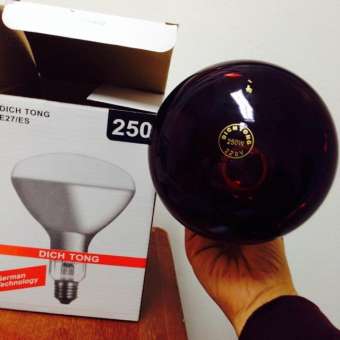 Bóng đèn hồng ngoại Dich Tong 250W
