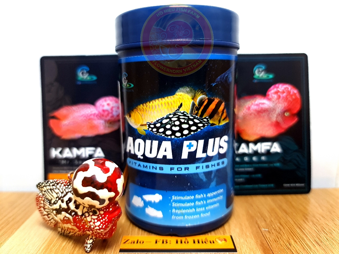 Cz13 aqua plus vitamin bổ sung dinh dưỡng tăng sức đề kháng.nâng cao độ sáng bóng vảy và màu sắc cho cá- hàng thái lan