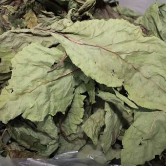 Lá Cây Mật Gấu - Cây Lá Đắng Khô (1kg)