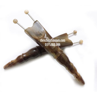 Bọ cạp sừng đôi lớn đầu bi sừng nhập khẩu diện chẩn