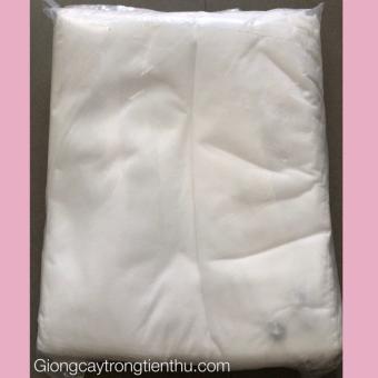 TÚI BAO TRÁI CÂY BƯỞI, DƯA VÀNG...(30x35cm)