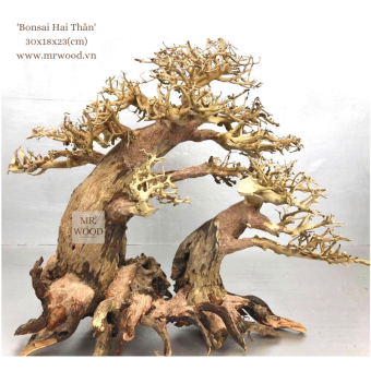 Lũa Bonsai Hai Thân Cho Hồ Thủy Sinh- Xưởng Lũa Mr Wood
