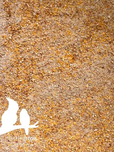 1kg Cám Con Cò S92 Thức ăn hỗn hợp cho cút hậu bị.