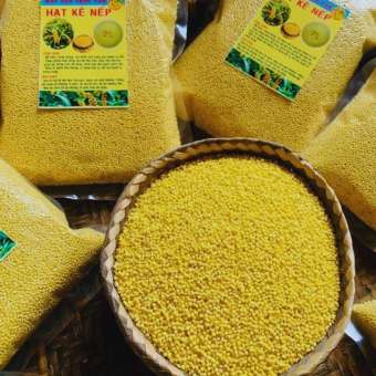 Hạt kê nếp vàng tách vỏ loại 1, hạt kê cho bé ăn dặm. Hạt kê nếp vàng organic hữu cơ nấu chè, nấu xôi, làm bánh, sữa hạt