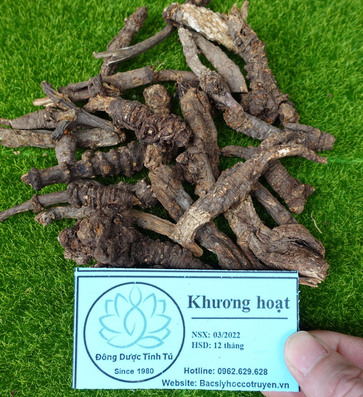 Khương hoạt 100g, dược liệu loại 1, khô, sạch