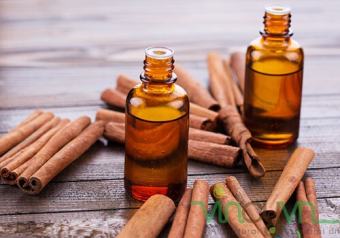 Tinh dầu hương Quế Yên Bái nguyên chất Lọ 50ml