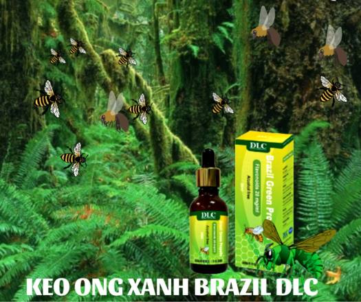 Feeship+voucher 30k KEO ONG XANH BRAZIL DLC- KHÁNG SINH TỰ NHIÊN HÀM LƯỢNG FLAVONOIDS 28mg/ml TỦ THUỐC CỦA GIA ĐÌNH LÀM LÀNH, KHÁNG VIÊM, PHÒNG CHỐNG VIÊM NHIỄM ĐƯỜNG HÔ HẤP TRÊN-TAI-MŨI-HỌNG-DẠ DÀY