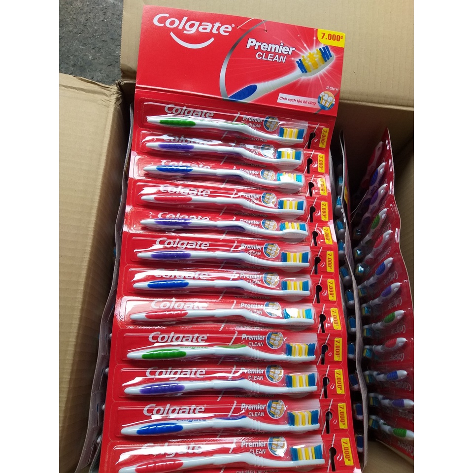 Vỉ 12 cây bàn chải đánh răng Colgate Premier Clean