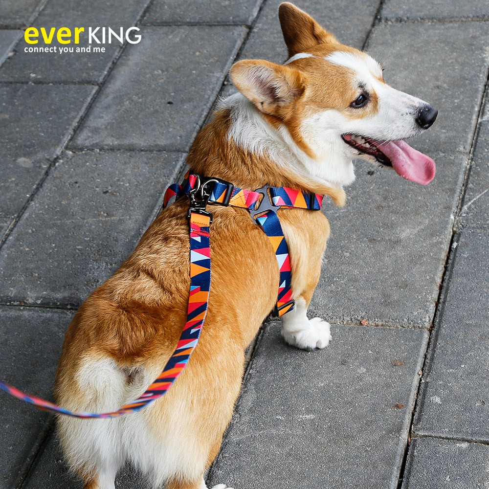 Whats The Best Harness For A