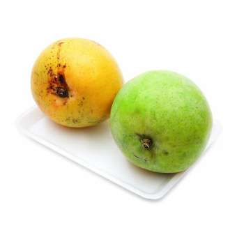 Xoài giống Úc 1kg