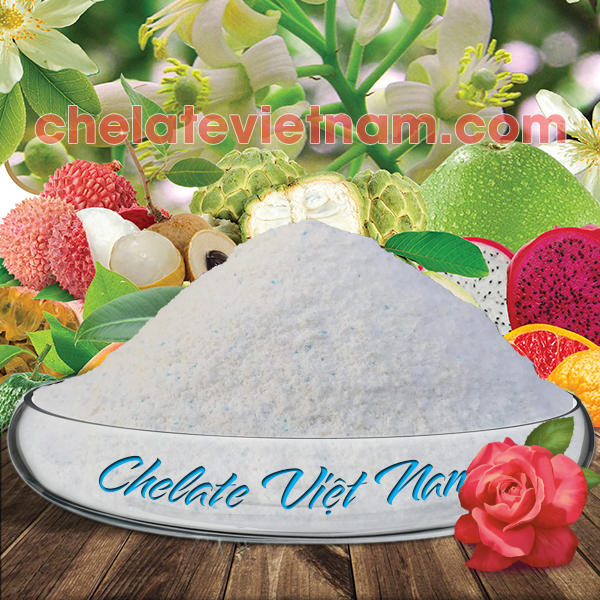 Phân bón vi lượng Combi Chelate 02