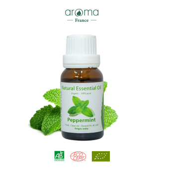 Tinh Dầu Bạc Hà Aroma Nguyên Chất Nguồn Gốc Thiên Nhiên - Peppermint Essential OIl - 10ml/15ml/30ml/50ml