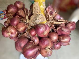 HÀNH TÍM PHAN RANG LOẠI 1, HÀNH TÍM  ẤN ĐỘ, HÀNH TÍM LÝ SƠN, TỎI TÍM BẮC, TỎI TÍM CÔ ĐƠN, TỎI ĐEN, TỎI TÍM LÝ SƠN, TỎI TÍM ĐÀ LẠT