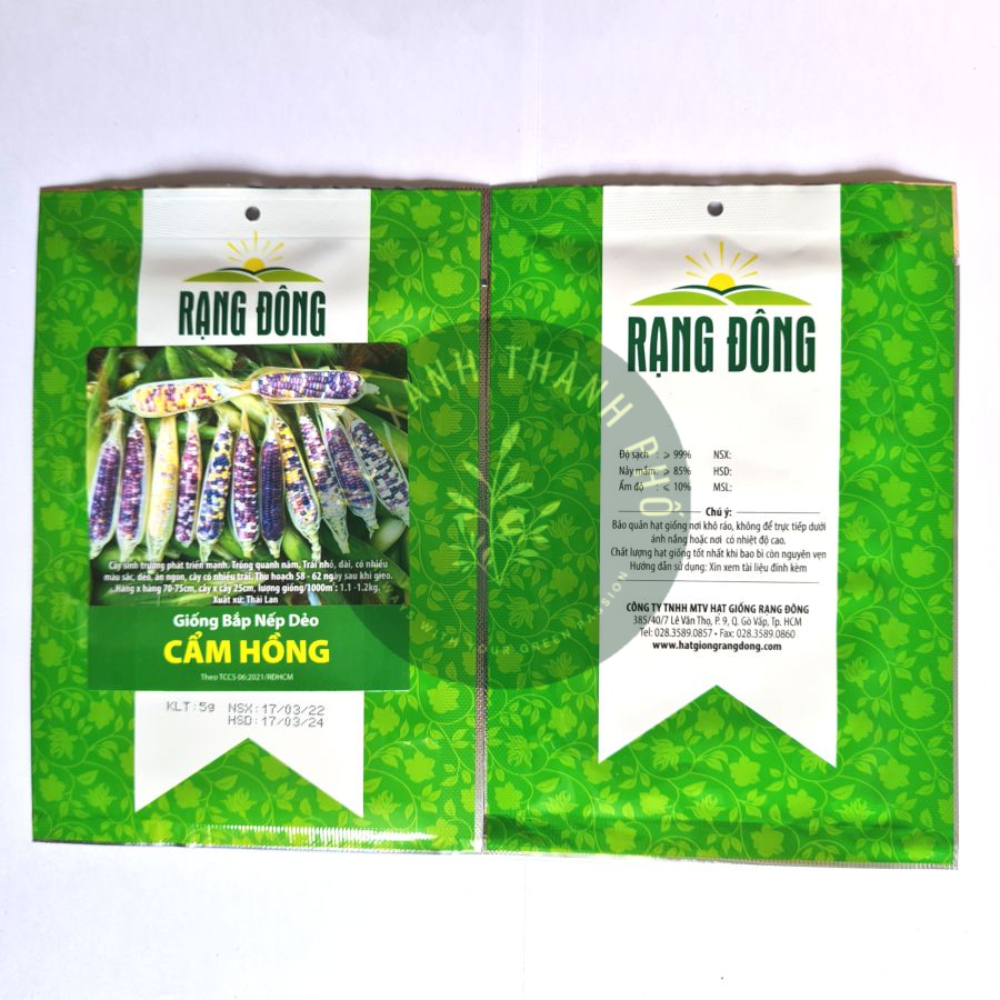 Hạt giống bắp nếp dẻo Cẩm Hồng 5gr bắp nếp lai