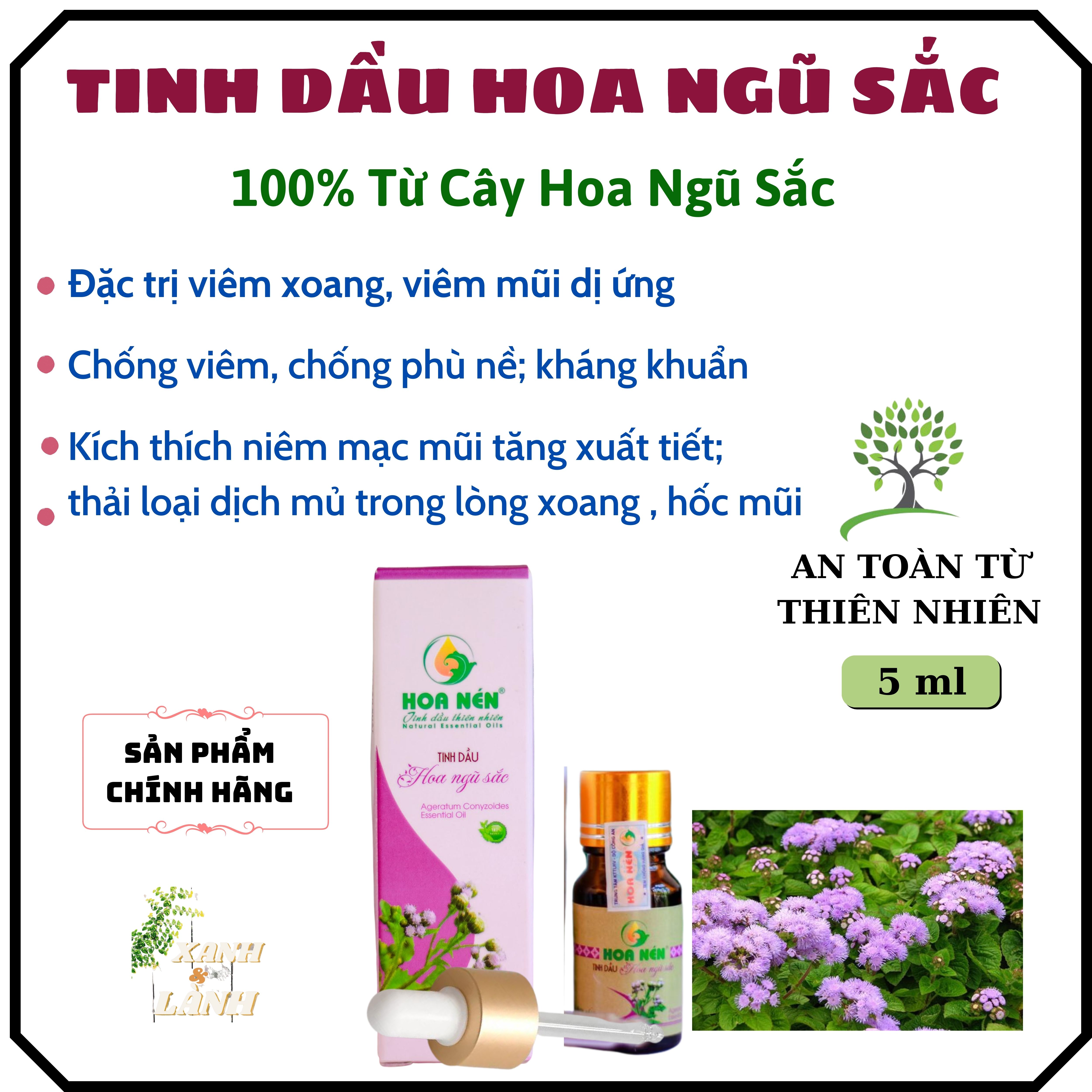 Tinh dầu hoa ngũ sắc viêm xoang, viêm mũi dị ứng hoa nén 5 ml