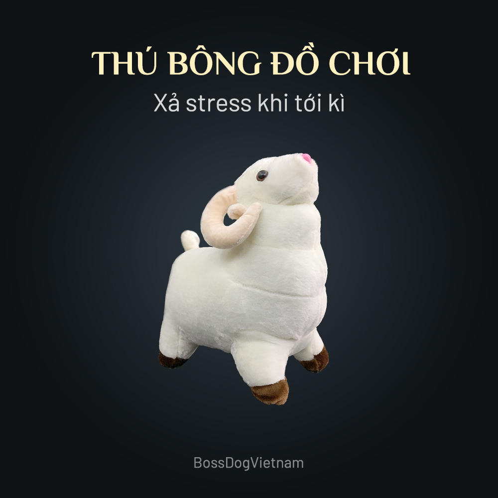 Đồ chơi thú bông tình yêu cho chó SESSO | BossDog