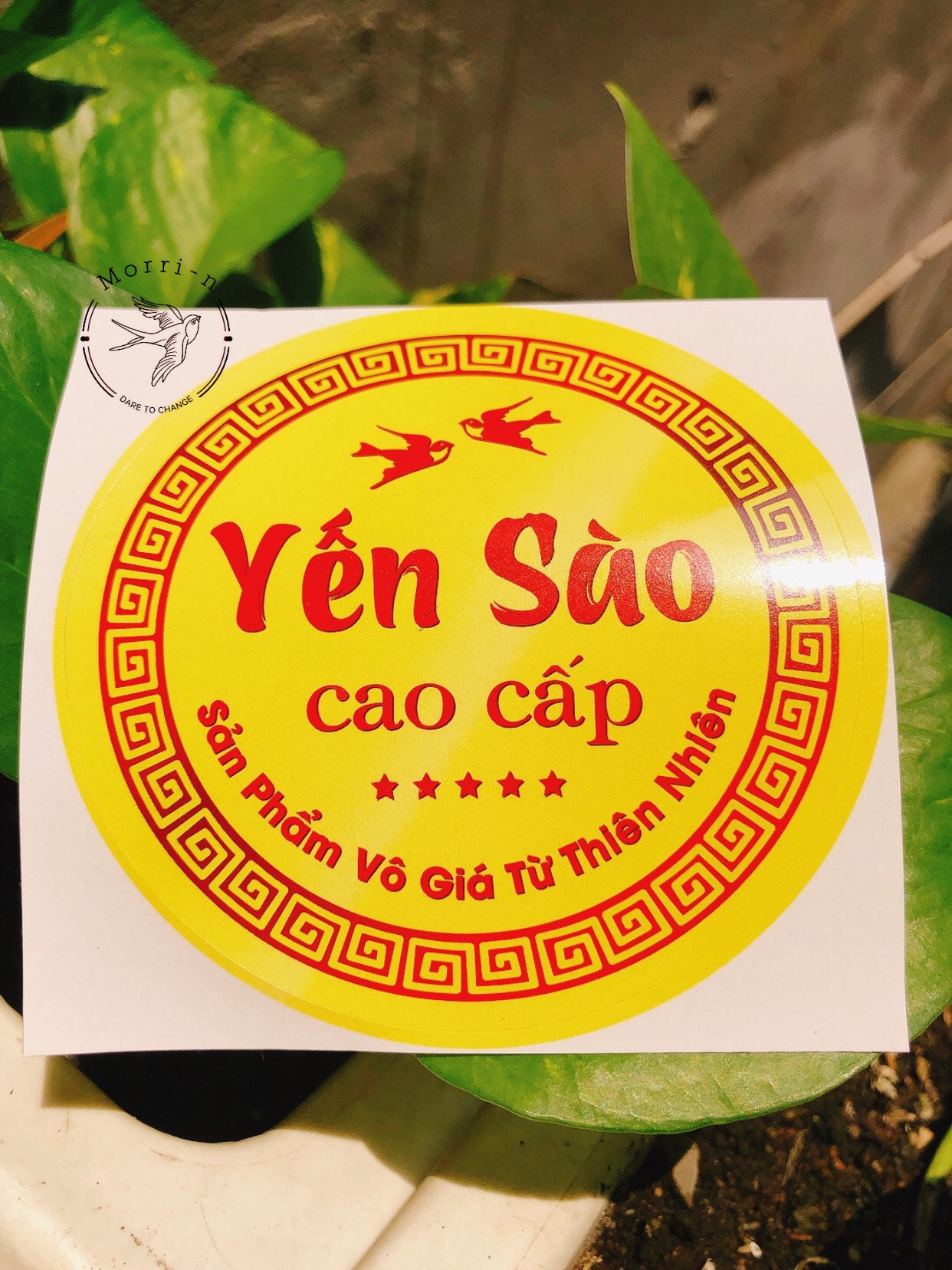 10 tem dán hộp decal yến sào cao cấp 8.5cm