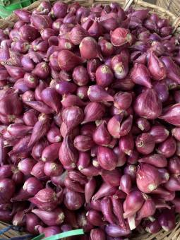 Hành tím Lý Sơn  -  1kg - Trầm tại đảo Lý Sơn -  đúng xuất xứ hành tím . tỏi tím . tỏi cô đơn .tỏi đà lạt .tỏi phan rang ...