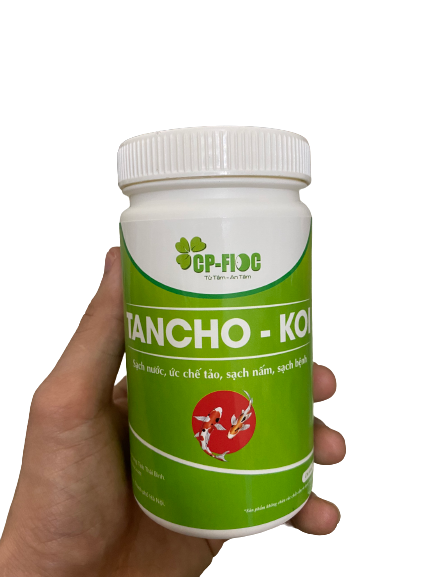 Vi sinh xử lý nước cho cá cảnh tancho koi, cá vàng, cá rồng, két