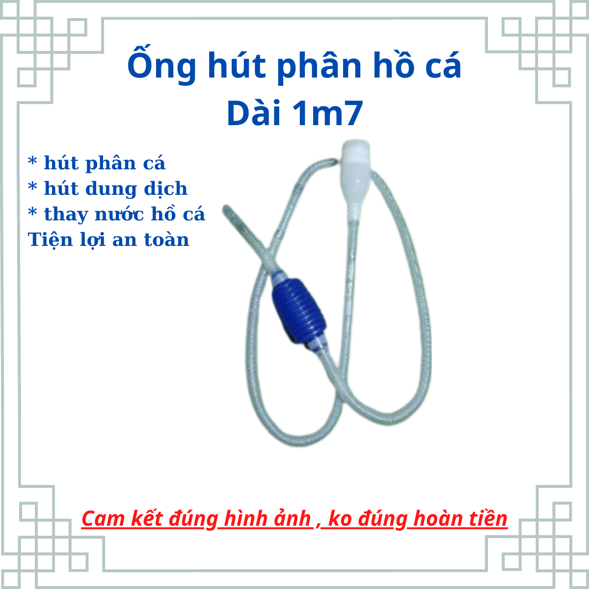 Hút đáy hồ cá