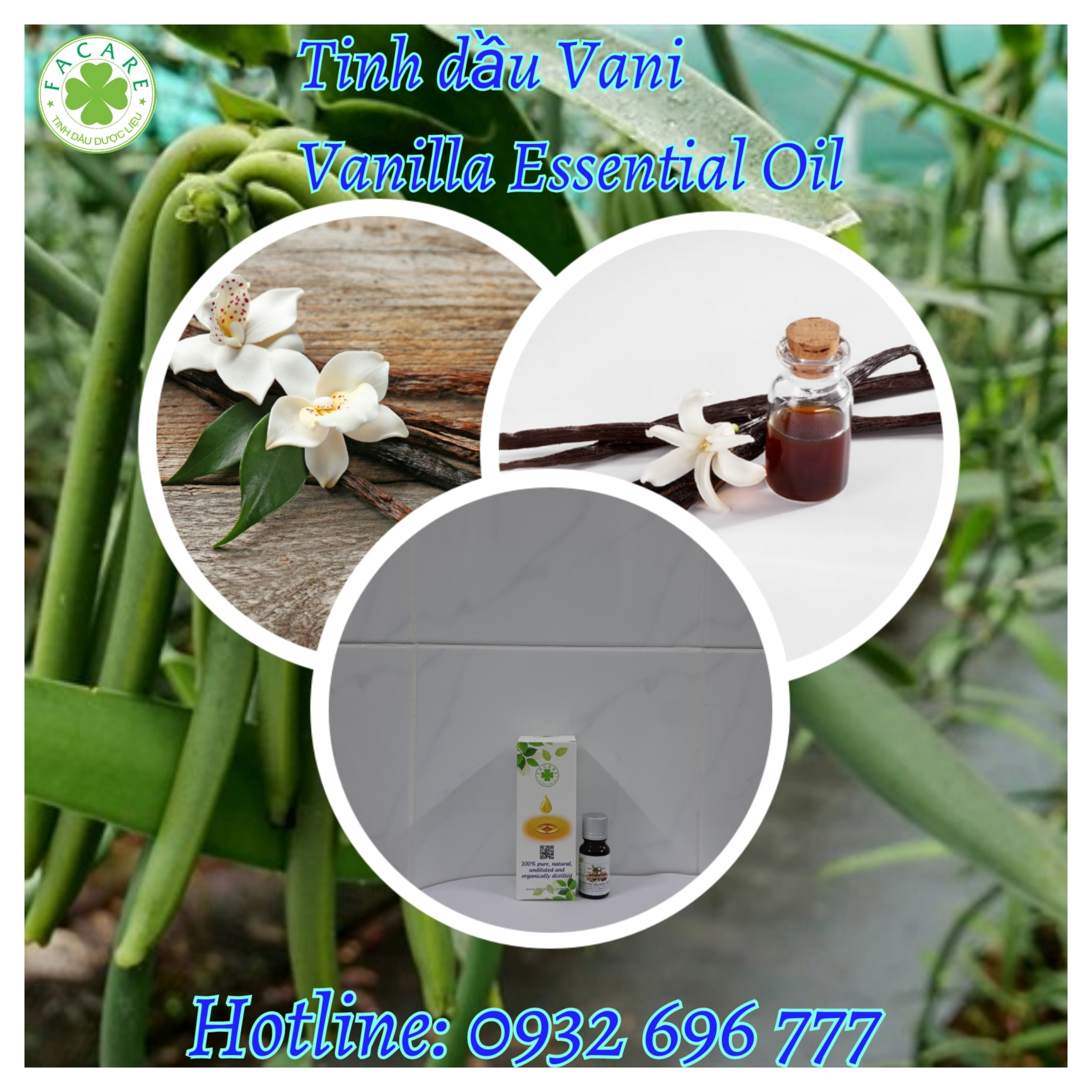 Tinh dầu vani Vanilla essential oil - 10ml