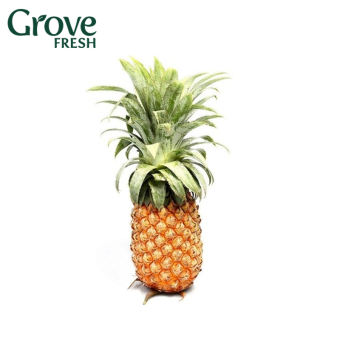 Khóm Long An (Trái 1.1-1.5KG)